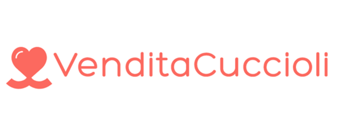 cucciolo lagotto vendesi